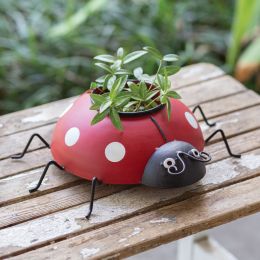 Ladybug Planter